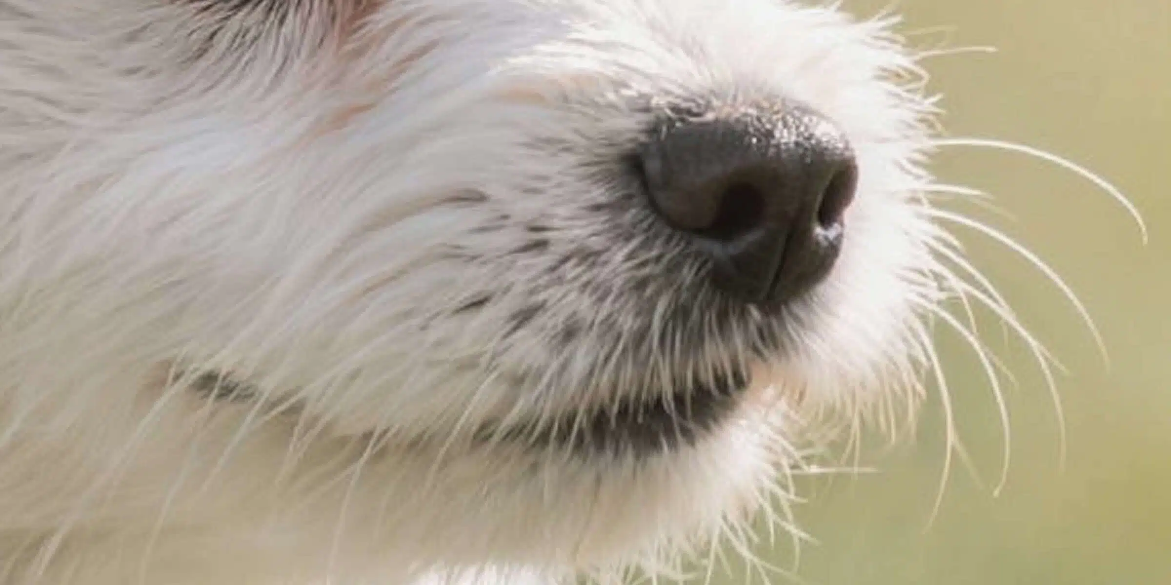 Smarter texture restoration